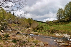 P1070488-Panorama-1-La-Loire-2