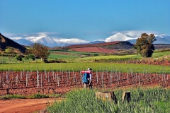 351-Rioja Alta (2)