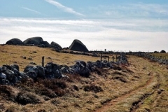 4-Paysage d'Aubrac-Le Roc des Loups (1273m) (2)