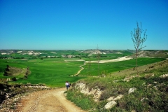 408-Hornillos del Camino (822m) (2)