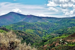587-Vue sur le col vers O Cebreiro (1330m) (2)