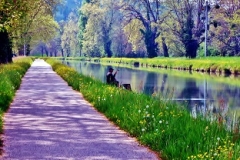 9-Canal du Tarn et  Garonne (2)