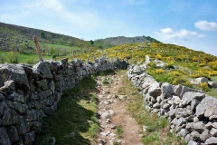 via-stevensonia-draille