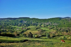 via-stevensonia-paysage-apres-monastier